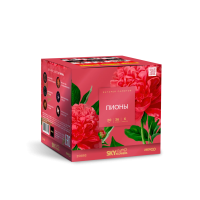 Пионы Салют купить в Ульяновске | ulyanovsk.salutsklad.ru