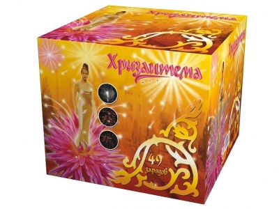 Хризантема Салют купить в Ульяновске | ulyanovsk.salutsklad.ru