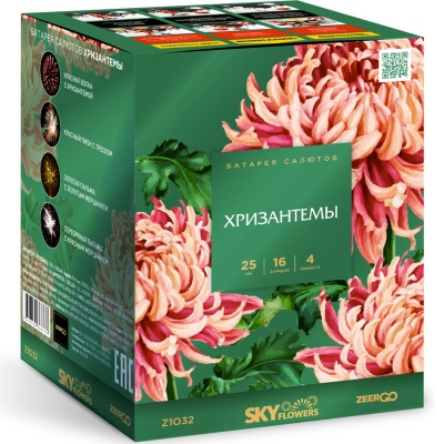 Хризантемы Фейерверк купить в Ульяновске | ulyanovsk.salutsklad.ru